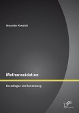 Methanoxidation: Grundlagen und Umsetzung (eBook, PDF)