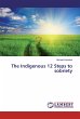 The Indigenous 12 Steps to sobriety - Bild 1