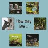 How they live (eBook, ePUB) - Bild 1
