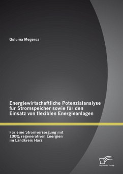 Energiewirtschaftliche Potenzialanalyse für Stromspeicher sowie für den Einsatz von flexiblen Energieanlagen: Für eine Stromversorgung mit 100% regenerativen Energien im Landkreis Harz (eBook, PDF) - Megersa, Guluma