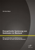 Energetische Sanierung von Gebäuden im Bestand: Wirtschaftlichkeit und Maßnahmen am Beispiel von drei Einfamilienhäusern (eBook, PDF)