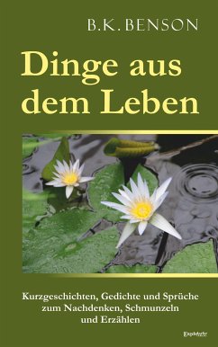 Dinge aus dem Leben (eBook, ePUB) - Benson, B. K.
