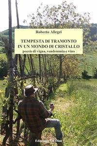 Tempesta di tramonto in un mondo di cristallo (eBook, ePUB) - Allegri, Roberto