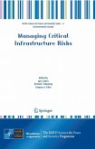 Managing Critical Infrastructure Risks (eBook, PDF)