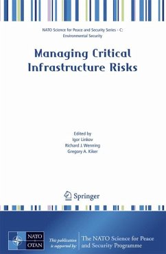 Managing Critical Infrastructure Risks (eBook, PDF)