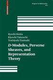 D-Modules, Perverse Sheaves, and Representation Theory (eBook, PDF)