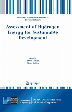 Assessment of Hydrogen Energy for Sustainable Development (eBook, PDF)