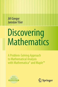 Cover Discovering Mathematics (eBook, PDF)