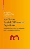 Nonlinear Partial Differential Equations (eBook, PDF)