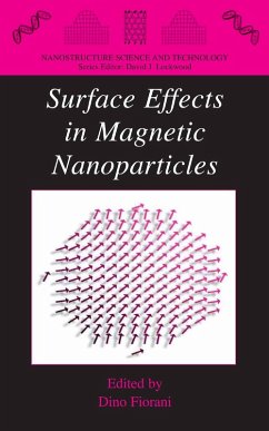 Surface Effects in Magnetic Nanoparticles (eBook, PDF)