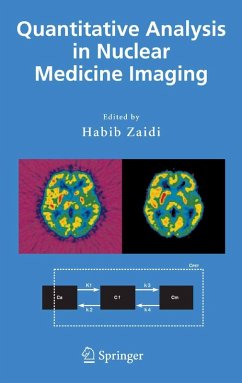 Quantitative Analysis in Nuclear Medicine Imaging (eBook, PDF)