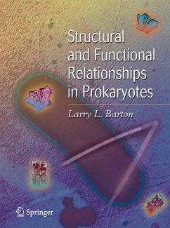 Structural and Functional Relationships in Prokaryotes (eBook, PDF) - Barton, Larry L.