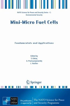 Mini-Micro Fuel Cells (eBook, PDF)