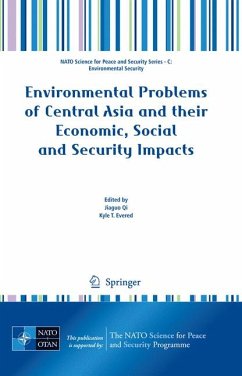Environmental Problems of Central Asia and their Economic, Social and Security Impacts (eBook, PDF)