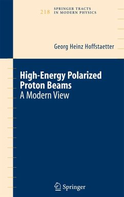 High Energy Polarized Proton Beams (eBook, PDF) - Hoffstaetter, Georg Heinz
