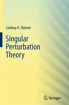 Singular Perturbation Theory (eBook, PDF) - Skinner, Lindsay A.