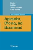 Aggregation, Efficiency, and Measurement (eBook, PDF)