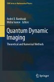 Quantum Dynamic Imaging (eBook, PDF)