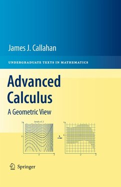 Advanced Calculus (eBook, PDF) - Callahan, James J.