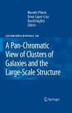 A Pan-Chromatic View of Clusters of Galaxies and the Large-Scale Structure (eBook, PDF)
