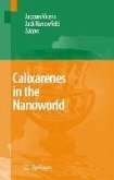 Calixarenes in the Nanoworld (eBook, PDF)