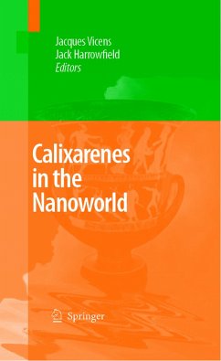 Calixarenes in the Nanoworld (eBook, PDF)