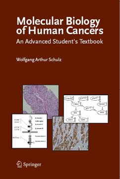 Molecular Biology of Human Cancers (eBook, PDF) - Schulz, Wolfgang Arthur