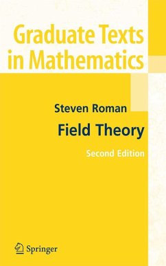 Field Theory (eBook, PDF) - Roman, Steven