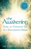 The Awakening (eBook, ePUB)