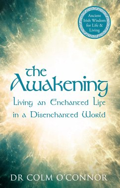 The Awakening (eBook, ePUB) - O'Connor, Colm