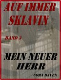 AUF IMMER SKLAVIN, Teil 3 (eBook, ePUB)