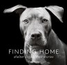 Finding Home (eBook, ePUB) - Bild 1