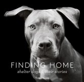 Finding Home (eBook, ePUB)