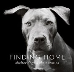 Finding Home (eBook, ePUB) - Scott, Traer
