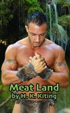 Meat Land (eBook, ePUB)