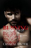 Burning At Last ((The Burn Series : Book 1)) (eBook, ePUB)