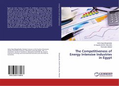The Competitiveness of Energy Intensive Industries in Egypt