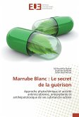 Marrube Blanc : Le secret de la guérison