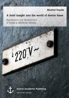 A brief insight into the world of device fuses: Significance and Development of Fuses in Electrical Devices - Rupalla, Manfred