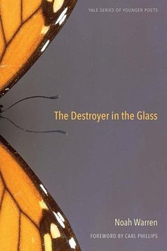 The Destroyer in the Glass - Warren, Noah