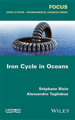 Iron Cycle in Oceans - Blain, Stéphane; Tagliabue, Alessandro