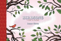 Birdsong: A Story in Pictures: Toon Level 1 - Sturm, James