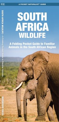 South Africa Wildlife - Kavanagh, James; Waterford Press