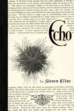 Echo & Other Fragments - Cline, Steven
