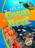 Life in a Coral Reef