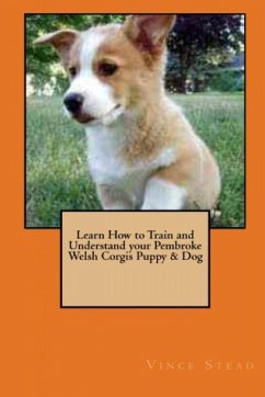 Learn How to Train and Understand your Pembroke Welsh Corgis Puppy & Dog - Stead, Vince