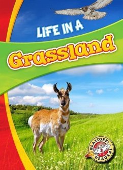 Life in a Grassland - Waxman, Laura Hamilton