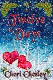 Twelve Days (eBook, ePUB)