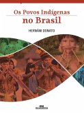 Os povos indígenas no Brasil (eBook, ePUB)