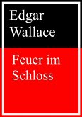 Feuer im Schloss (eBook, ePUB) Feuer im Schloss (eBook, ePUB)